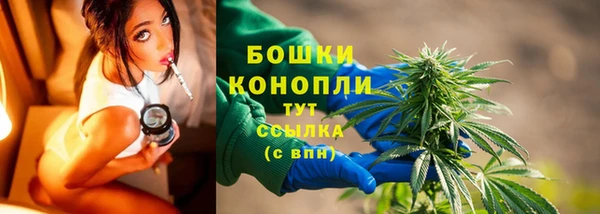 прущие грибы Елабуга
