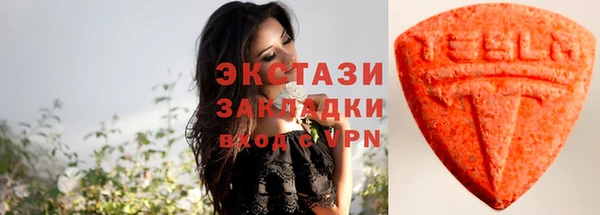прущие грибы Елабуга