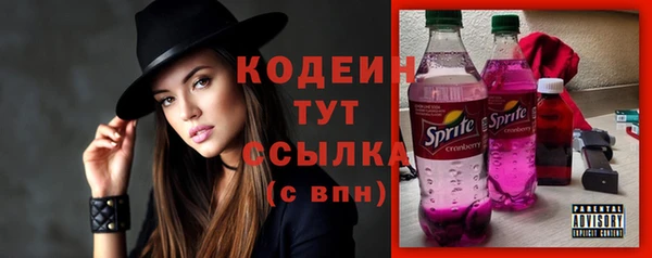МДПВ Ельня