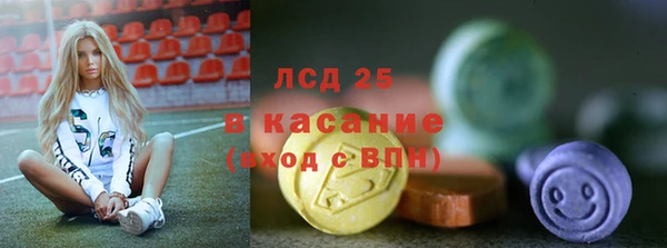прущие грибы Елабуга