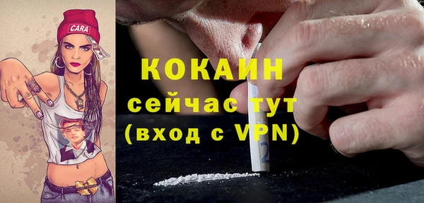 МДПВ Ельня