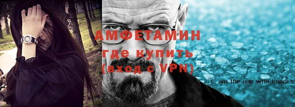 прущие грибы Елабуга