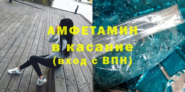 прущие грибы Елабуга
