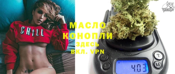 прущие грибы Елабуга