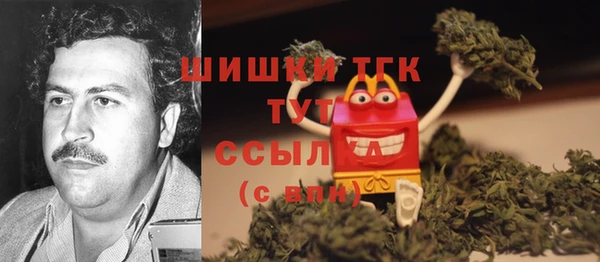 МДПВ Ельня
