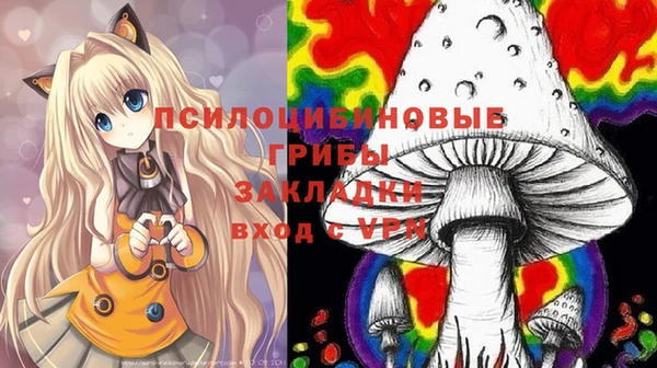 трава Заволжск